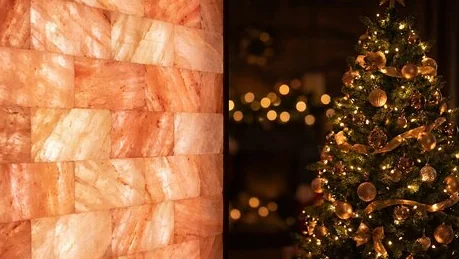 С наступающим новым годом!