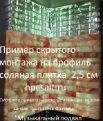Соляная плитка из Гималайской соли 20х10х2,5см HPCSALT 1